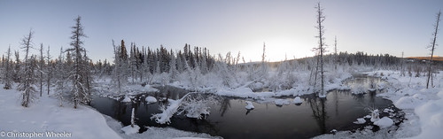 afternoon landscape sunset genre nature forest boreal northof60 beauty panorama lateafternoon 25c snow borealforest borealecosystem mzuiko714mmf28pro olympusomdem1 wetlands outside cold north deepcold northern yukon canada riparianzone winter southernyukon ice whitehorse ca