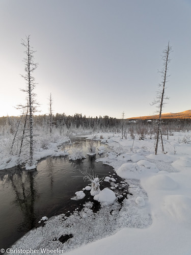 landscape winter genre nature borealforest snow northof60 beauty afternoon lateafternoon wetlands cold sunset olympusomdem1 yukon forest boreal outside mzuiko714mmf28pro north deepcold northern 25c canada riparianzone borealecosystem southernyukon ice whitehorse ca portraitorientation