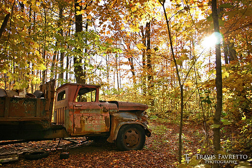 abandoned algoma autumn chippewariver dusk evening fall leaves rust saultstemarie sunset trees truck