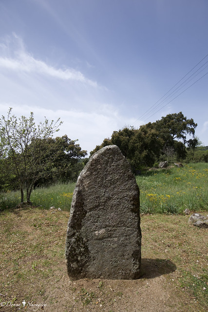 menhir di Biru 'e Concas, Sorgono