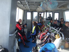 2012 Plongées club en mer, France,  Presqu'île de Giens