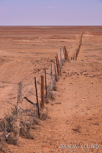 The dingo fence