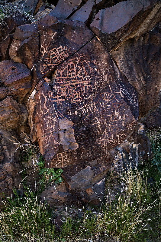 Black Tank Wash Petroglyphs