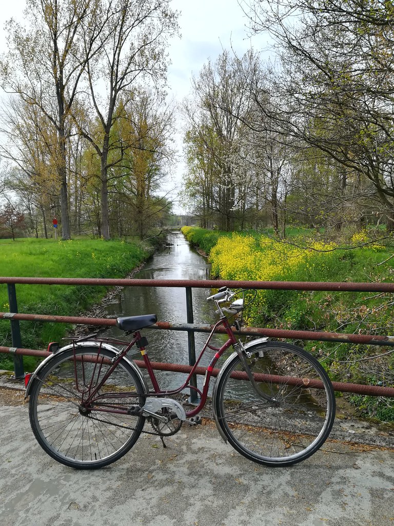 Bicicleta en la naturaleza
