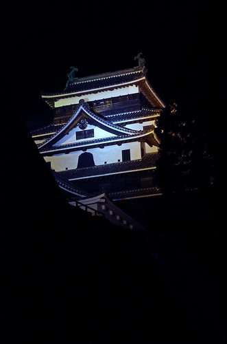japan chugoku shimane matsue castle night