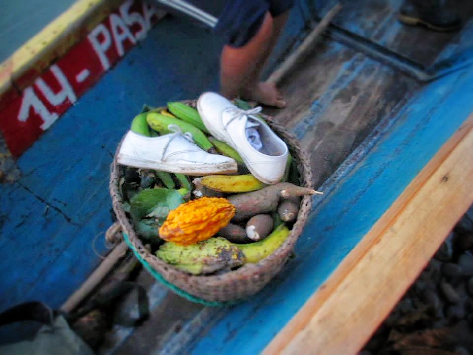 A basket of fresh fruits from Ecuador Amazon jungle