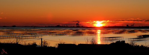 Declinaison by ynatentive, etang de Thauperspective sunset couchedesoleil yna nature canon700d bfv100 orange crepuscule favsuns