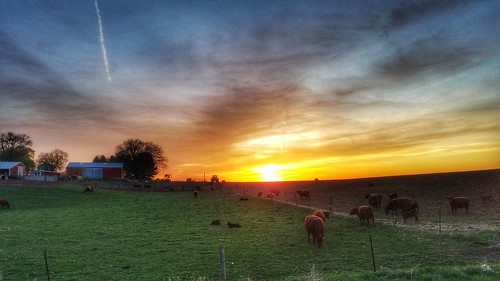 sliderssunday slide hss sunset clouds sky dusk evening farm cattle landscape field fence quiet