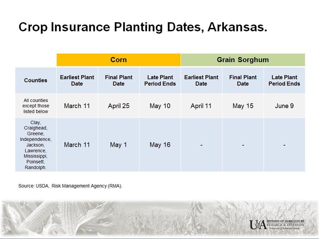 crop insurance planting dates - corn & sorghum