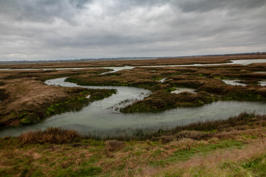 Copt Hall Marshes.22 | michael dsouza | Flickr