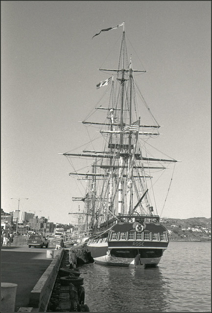 The Rose in the harbour, 1995
