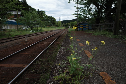 小湊鉄道をめぐる小旅行 8