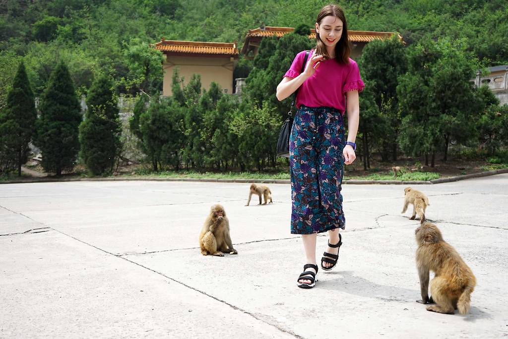 Monkey MountainGongyi, Zhengzhou, China