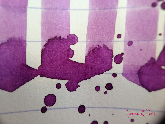 Toucan Violet Ink Review 7