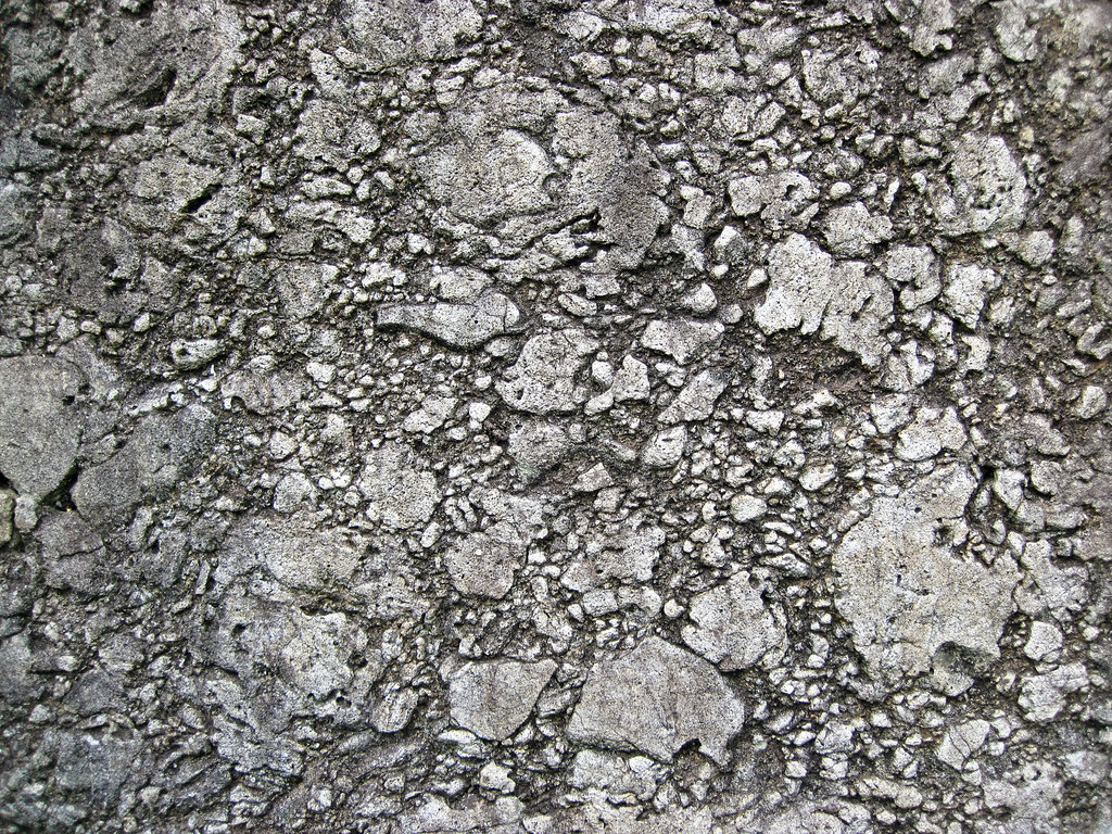 Basaltic lapillistone (Middle Tholeiitic Unit, Kidd-Munro Assemblage, Neoarchean, 2.711-2.719 Ga; just east of the Potter Mine, east of Timmins, Ontario, Canada) 2