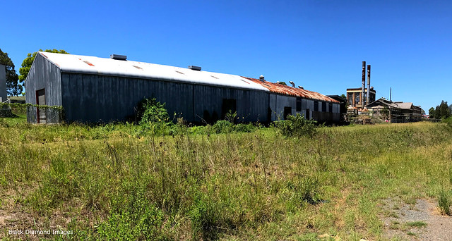 Former Peters Creameries Pty. Ltd Factory Buildings Viewed from Bent St, Taree, NSW