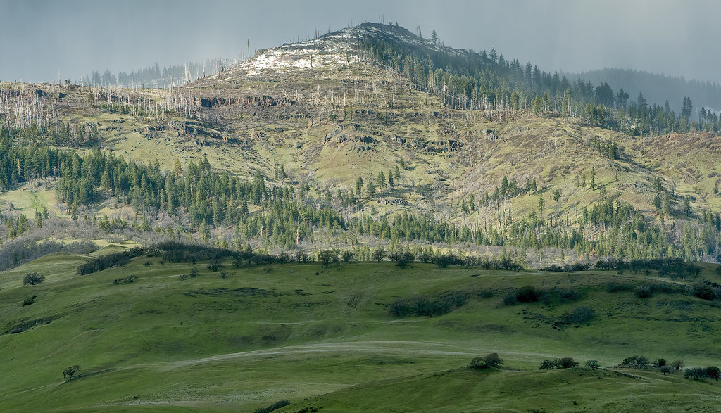Grizzly Peak in spring with snow
