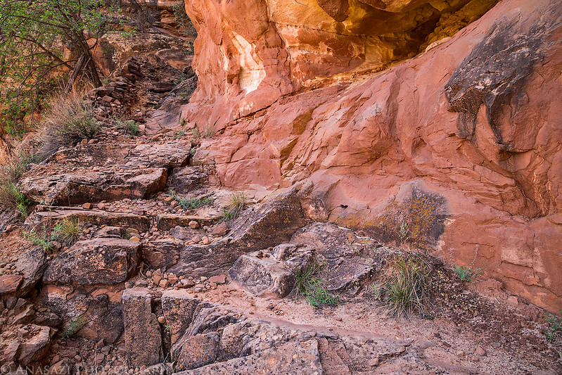 Old Cattle Trail