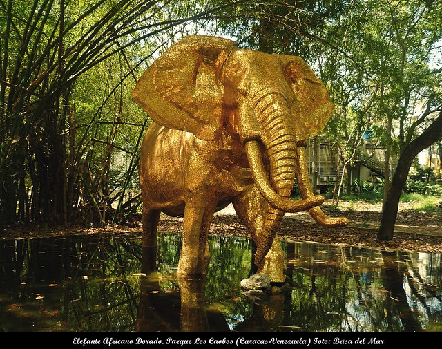 Elefante Africano Dorado. Parque Los Caobos (Caracas-Venezuela)
