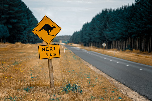 Kangaroo Sign | by Bloody Nick