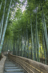 Bamboo Stairs