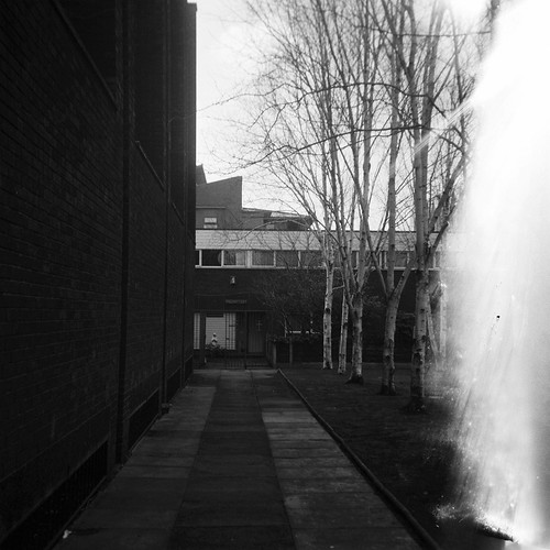 2313004.jpg | by Greg.May