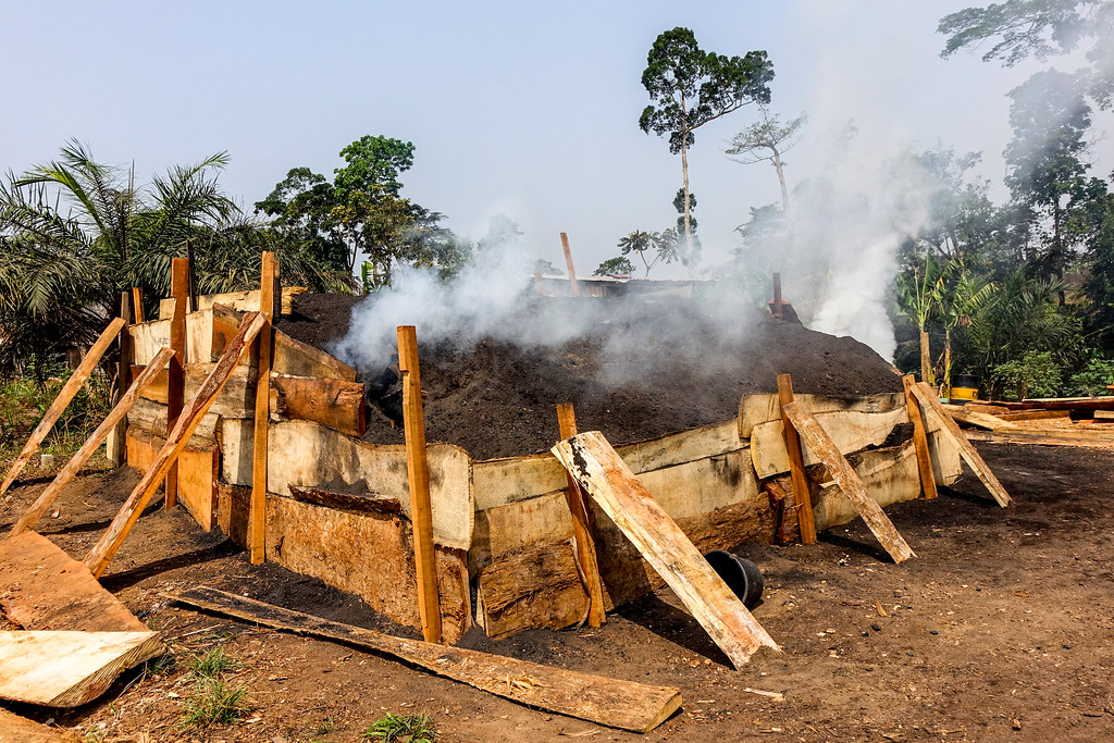 Charcoal production in Cameroon's East Region.