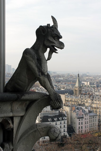 Notre Dame : Gargouille