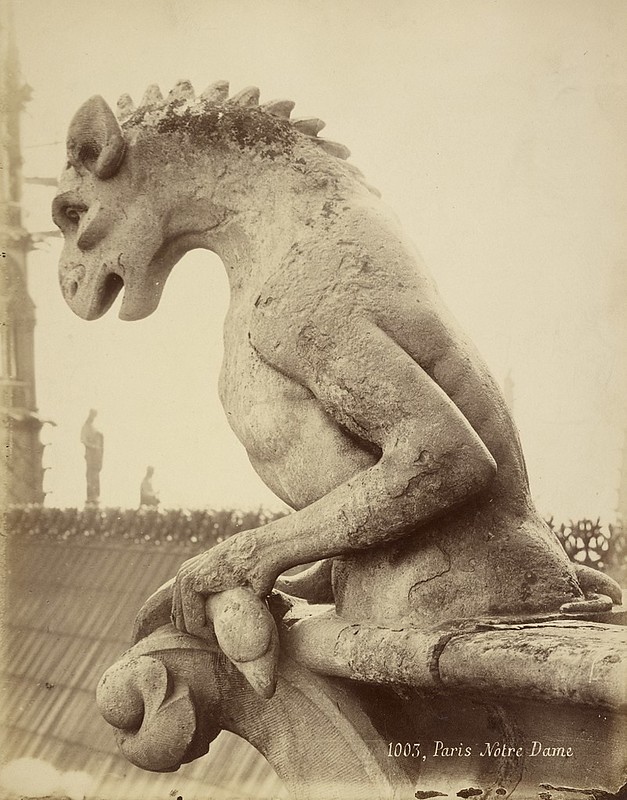 Gárgola en Notre Dame, fotógrafo desconocido, hacia 1870.