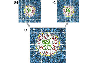 Adaptive resolution situation (AdResS) simulation of an atomistic protein, its atomistic hydration shells and CG water particles. The dashed lines illustrate the spatial domain decomposition. When going from (a) to (c), the effects for load imbalance get mitigated. 