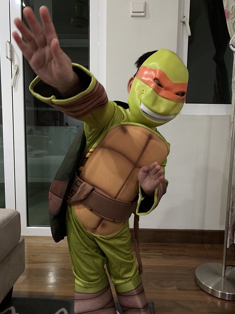Zafeer Ninja Turtle Costume