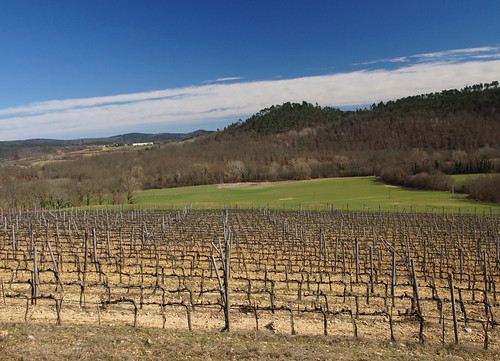 landscape outside vineyard hills sky panorama fields agriculture valdimerse tuscany toscana chiusdino paesaggio marumi
