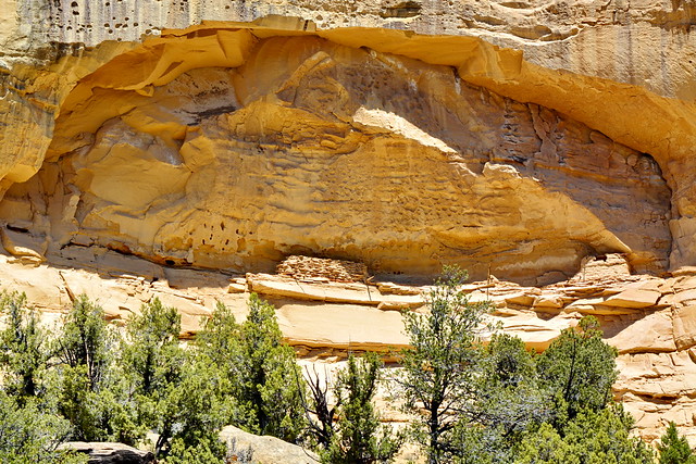 Close up of Anasazi Cliff Structures