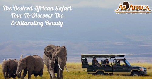 The Desired African Safari Tour To Discover The Exhilarating Beauty