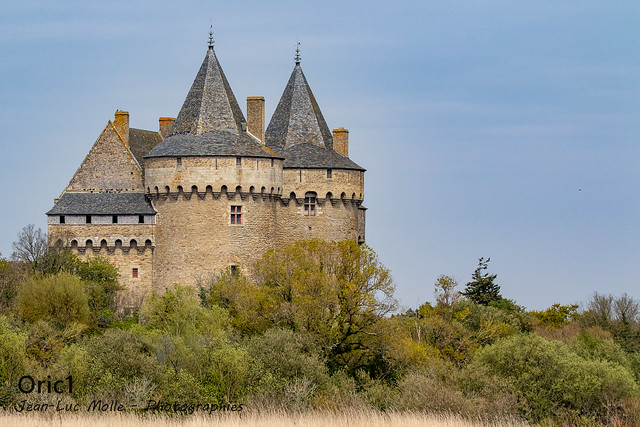 Château de Suscinio - Explored