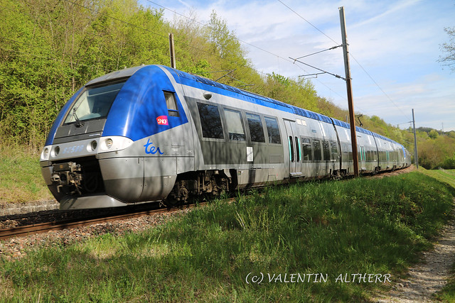 TER SNCF, CHALLEX, 24.04.2019