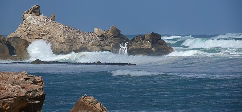 south coast swell | by hazza3d