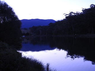 mount Wellington reflects in Browns river at dusk
