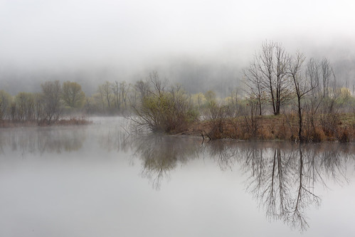 fog foggy wisconsin midwest trees nature pond reflection calm still landscape canoneos5dmarkiii canonef2470mmf28lusm wallpaper background