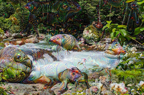 Evolution-LR | by Oxbow_Lebach