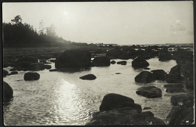 Archiv S977 An der See, 1913