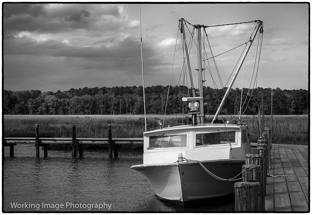 Elliott Island | Dorchester County, Maryland | Working Image ...