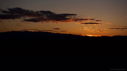 Desert Sunset by Photoski141, blossom joshuatree
