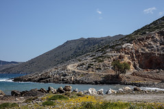 Pacheia Ammos, Crete 17 april 2019