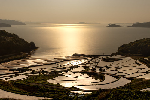 sunset nature landscape sunlight riceterrace reflection waterscape seascape light nagasaki japan
