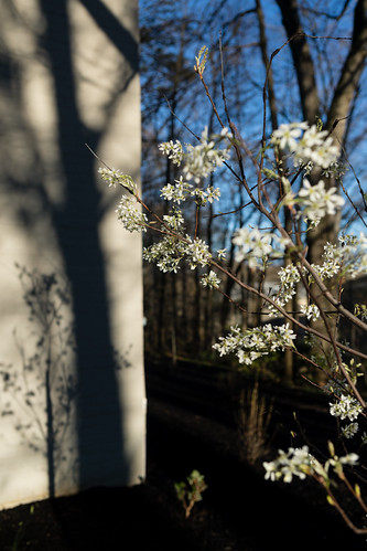 Conservation landscape in Anne Arundel County, Maryland | by chesbayprogram