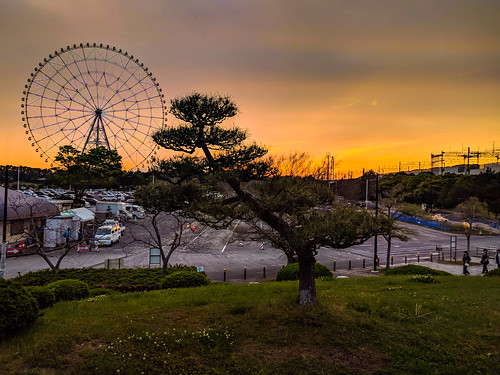 tokyo japan koen park kasairinkaikoen dusk sunset tree ferriswheel bigwheel nexus6p nexus