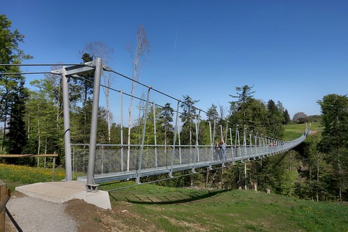 Suspension Bridge Grub SG - AR