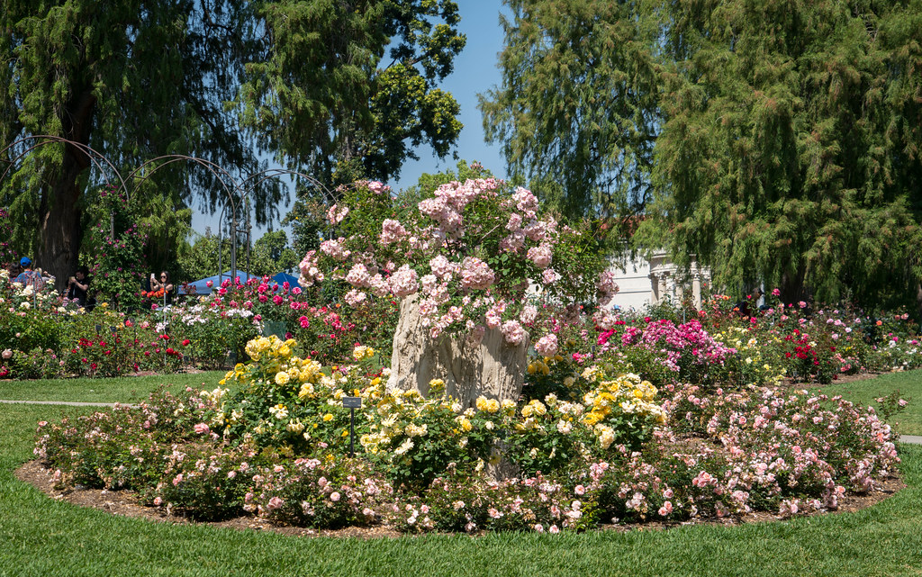 Huntington Library Botanical Gardens Pasadena Ca Flickr