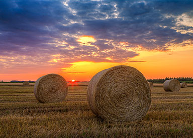 Farm Insurance Brokers | Business Insurance Center | by info.businessinsurance